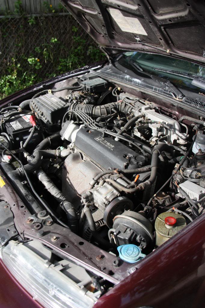 Name:  130_zps086f4ffa.jpg
Views: 75
Size:  129.6 KB